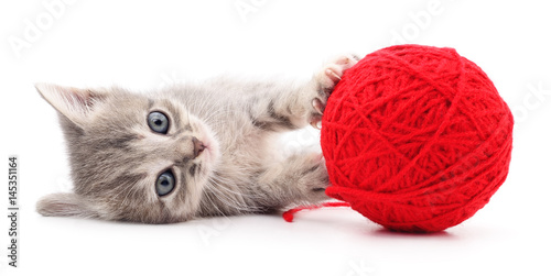 Kitten with ball of yarn.
