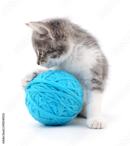 Cat with ball of yarn