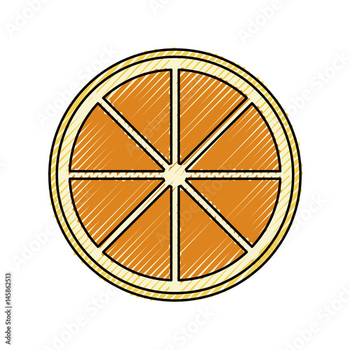 Orange citric fruit icon vector illustration graphic design