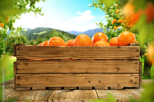 orange fruits 