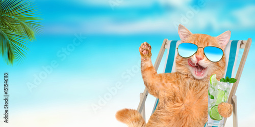 Poster Cat wearing sunglasses relaxing sitting on deckchair in the sea background