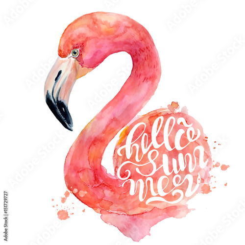 watercolor-pink-flamingo-hand-painted-illustration