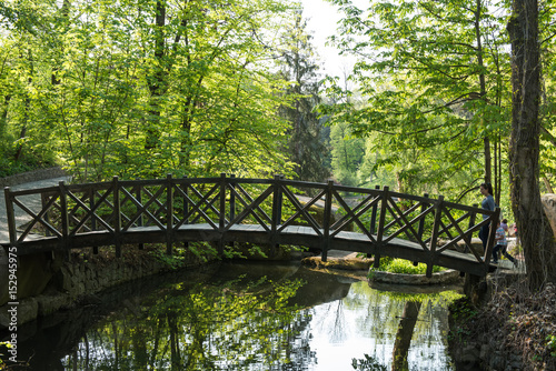 Old wooden bridge in the park
