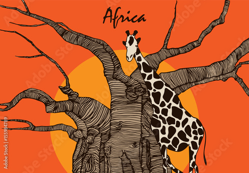Obraz na płótnie Giraffe and African tree on a sunset background. Funny cartoon character. Vector illustration Africa.
