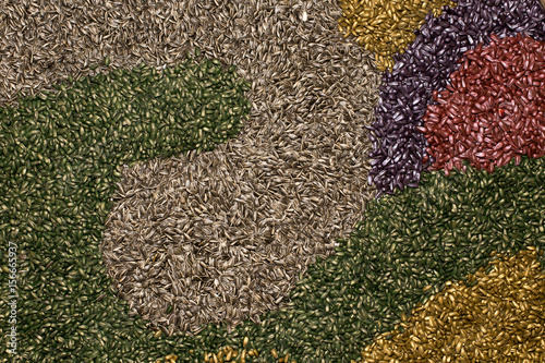 Colorful sunflower seeds