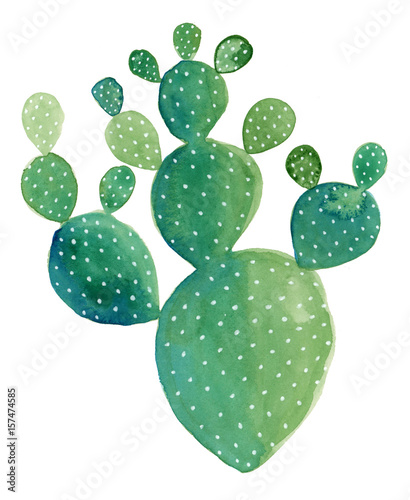 akwarela-malarstwo-kaktusa-opuntia-quot-pad-cactus-quot