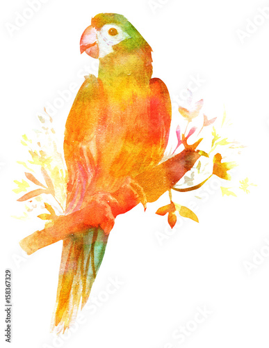 aquarellzeichnung-eines-papageien-goldenes-getont-lokalisiert
