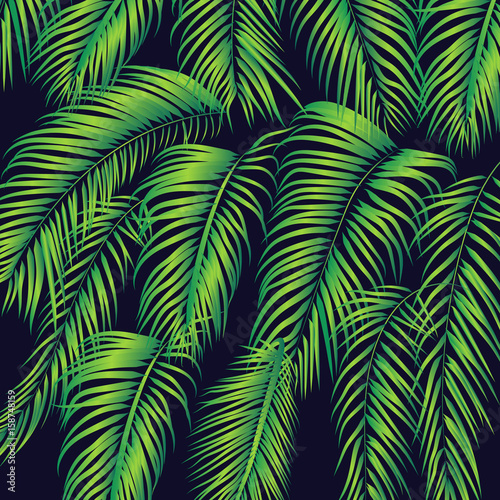 summer-palm-leafs-background-texture