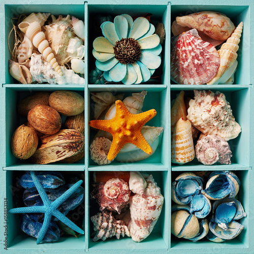 Fototapeta Sea shell display box filled with shells, starfish and scented potpourri