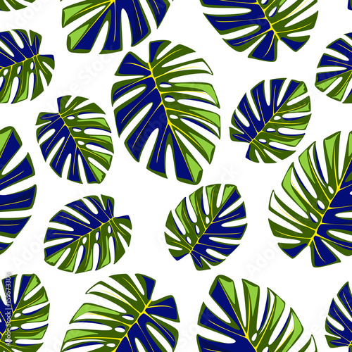 tropikalny-wzor-z-lisci-monstera