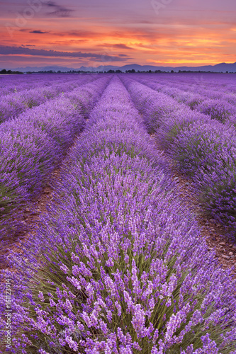wschod-slonca-nad-polami-lawenda-w-provence-francja