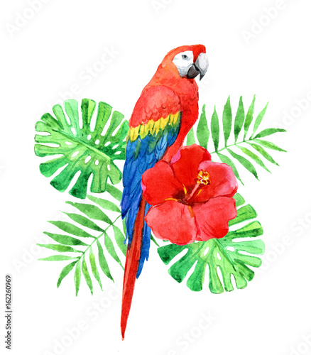 roter-macawpapagei-mit-palmblattern-tropische-blume-lokalisiert-auf-weisem-hintergrund-aquarell-illustra