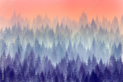 drzewa-w-porannej-mgle-grafika-cyfrowa