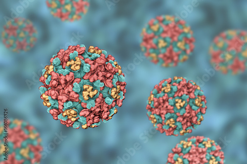 Eastern equine encephalitis virus, 3D illustration. An RNA Alphavirus ...