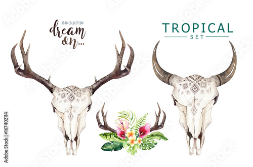 Lacobel Watercolor bohemian cow skull and tropic palm leaves. Western deer mammals. Tropical deer boho decoration print antlers. flowers, leaves feathers. Isolated on white background. Aloha design.