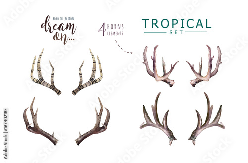  Hand drawn watercolor deer horns with tropical flower bouquets. Exotic palm leaves, jungle tree, brazil tropic botany flowers and cow skull. Aloha collection.