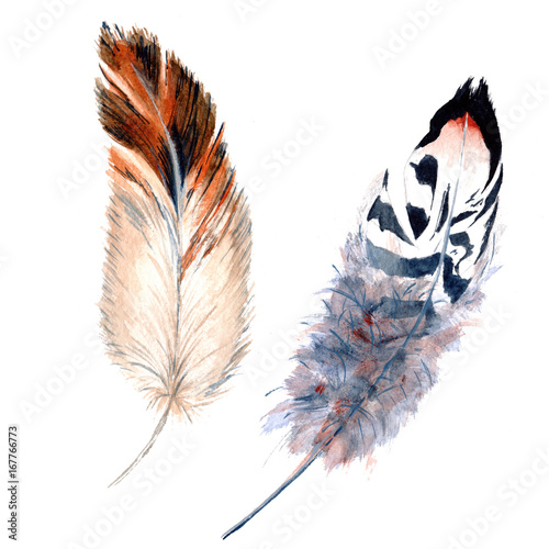aquarellvogelfeder-vom-flugel-getrennt-aquarelle-feder-fur-hintergrund-textur-wrapper-muster