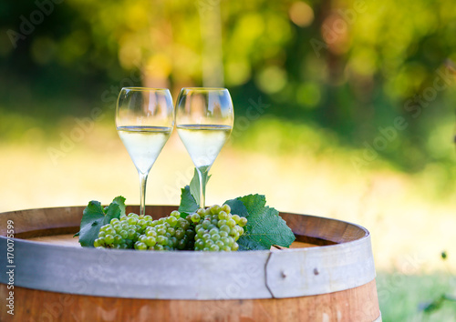 Tasty white wine on wooden barrel on grape plantation background © larcobasso