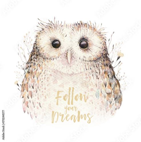 akwarela-ptakow-naturalnych-pior-boho-owl-plakat-czeski-sowy-ilustracja-boho-z-pior-do-swojego-projektu-jaskrawa-blekitna-kolor-dekoraci-sztuka