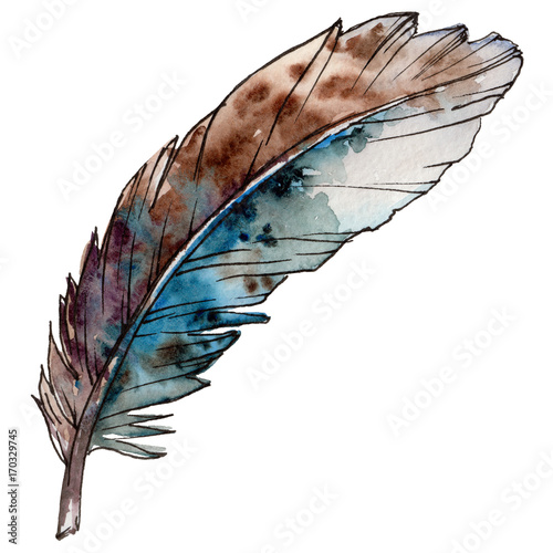 aquarellvogelfeder-vom-flugel-getrennt-aquarelle-feder-fur-hintergrund-textur-wrapper-muster