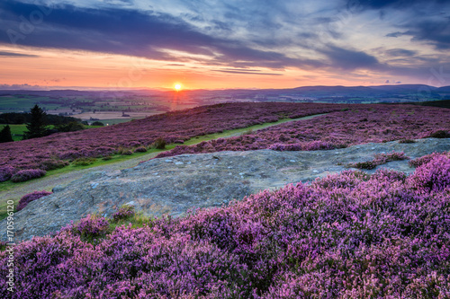 zachod-slonca-nad-wzgorzami-cheviot-i-rothbury-heather-na-tarasach-z-ktorych-roztacza-sie-widok-na-doline-coquet-valley-do-simonside-i-cheviot-hills-latem-obejmuje-wrzosowiska-na-zboczu-wzgorza