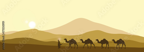 The brown silhouette of the caravan in the desert. Camels in the sands. African landscape © shaineast