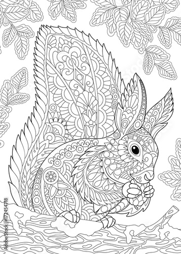 Coloring Page Of Squirrel Eating Pine Cone Freehand Sketch Drawing For Adult Antistress Book