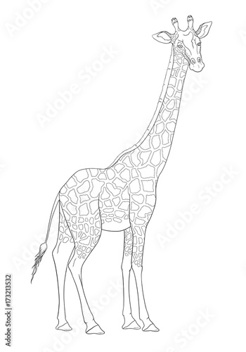 Obraz Fotograficzny Coloring book with giraffe.
