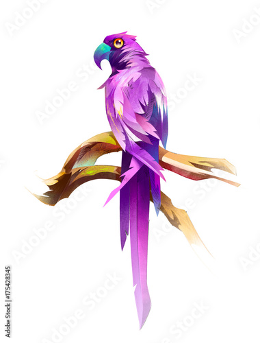 gemalter-farbiger-sitzender-vogelpapagei-auf-weisem-hintergrund