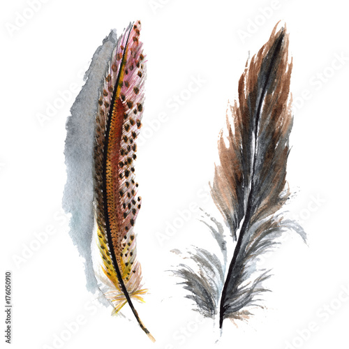 aquarellvogelfeder-vom-flugel-getrennt-aquarelle-feder-fur-hintergrund-textur-wrapper-muster
