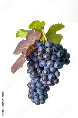 Grapes