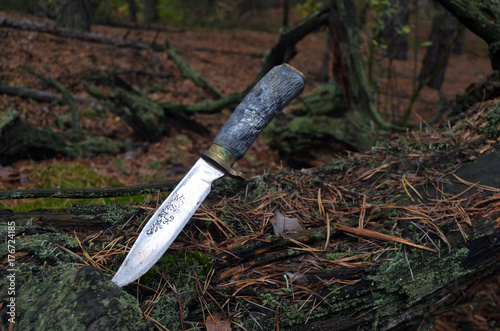 Soviet hunting knife of 1980-th. in the forest near Kiev.