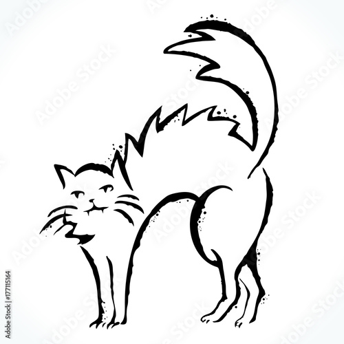 Hand Drawn Contour Picture Of Cat Silhouette Isolated On White Hand Drawn Contour Picture Of Cat Silhouette Isolated On White Background Template For Design