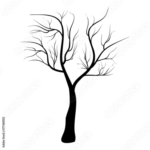 nagie-drzewo-ikona-symbol-projektu-wektorowa-ilustracja-odizolowywajaca-na-bialym-tle-drzewo-czarnej-sylwetki-nagi-drzewo-dla-zimy-lub-halloween-skladu