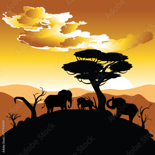 African Sunset with Elephant