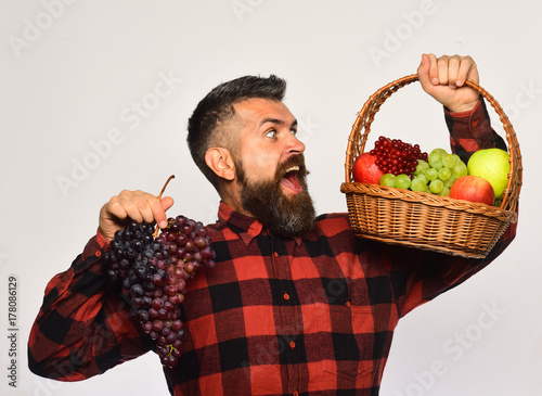 Man with beard holds basket with fruit and purple grapes
