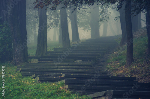 Obraz na płótnie Park stairs in the fog, Krakow, Poland