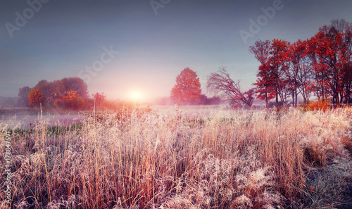 Frosty autumn landscape of november nature at sunrise. Scenery colorful autumn with hoarfrost © dzmitrock87