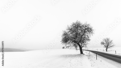 artystyczna-minimalistyczna-zimowa-scena-w-czarny-i-bialy