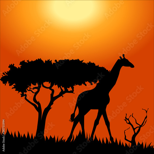 Obraz na płótnie Africa safari - silhouettes of wild animals