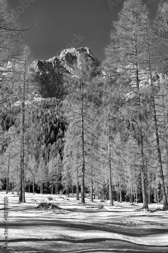 widok-na-mrozne-gory-sextener-dolomitow