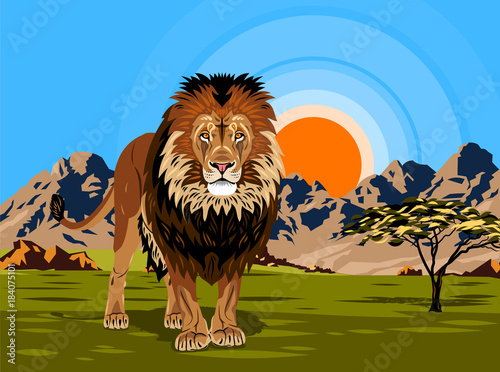 Lion against the background of the African landscape