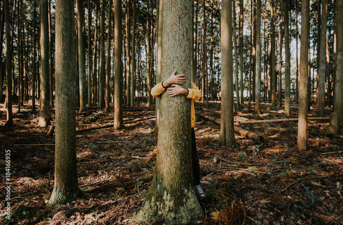 Man hugging tree bark