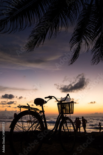 Plakat foto Bicycle on the beach near palm trees and ocean at sunset