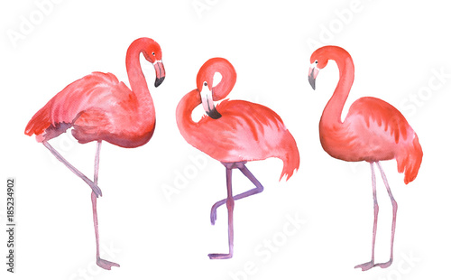 trzy-rozowe-flamingi