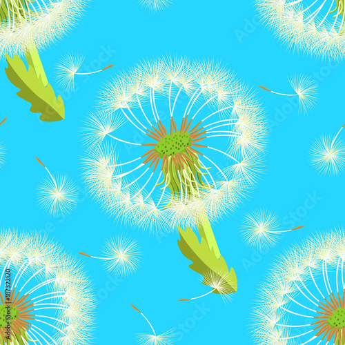 Obraz na płótnie Seamless pattern with flower dandelion. vector illustration