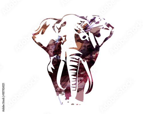 Obraz na płótnie Vector watercolor silhouette of an elephant