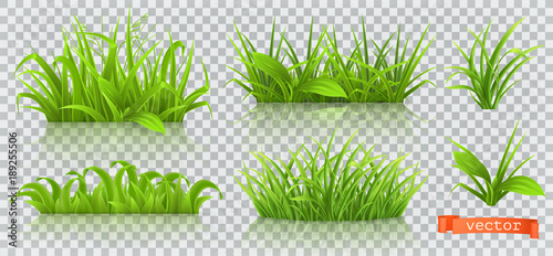 Spring, green grass. 3d realistic vector icon set © Natis