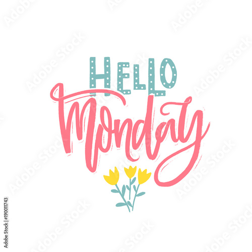 Hello Monday inscription. Handwritten phrase for social media and cards. Modern brush calligraphy om white background.