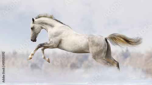 cheval